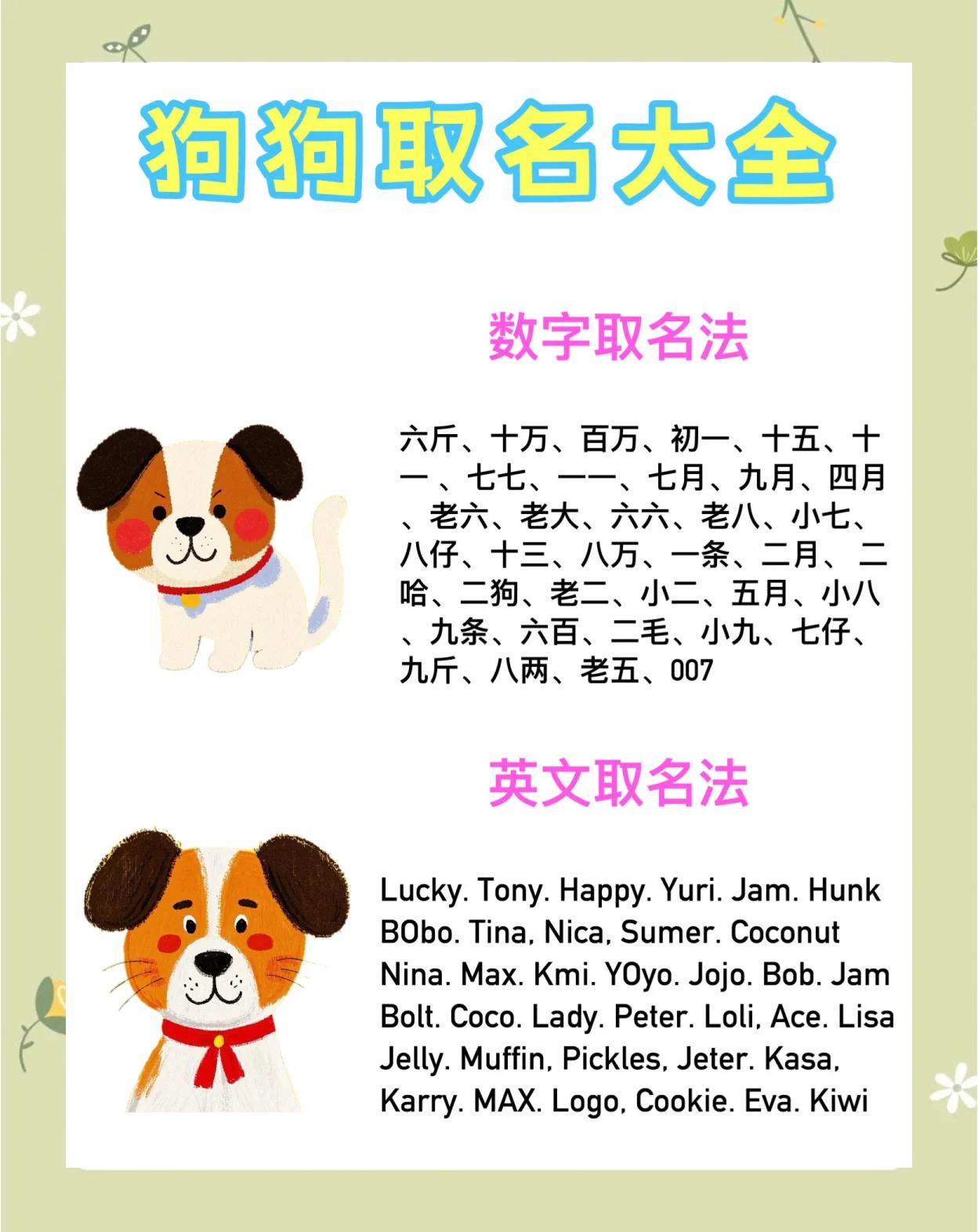 科普展现:小狗名字（小狗名字小众）