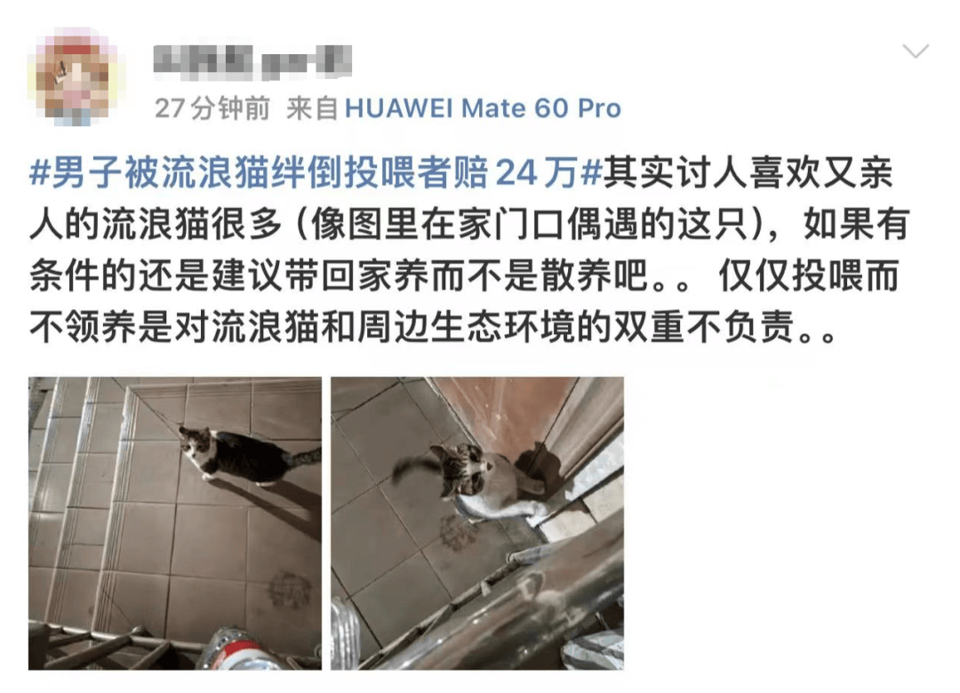 一肖中赔多少