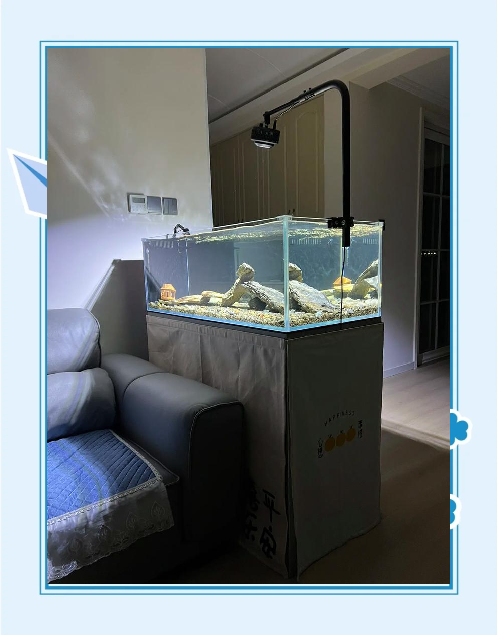 室内鱼缸风水学