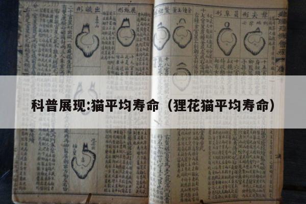 科普展现:猫平均寿命（狸花猫平均寿命）