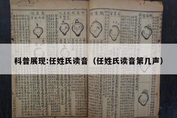科普展现:任姓氏读音（任姓氏读音第几声）