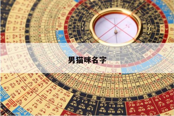 男猫咪名字