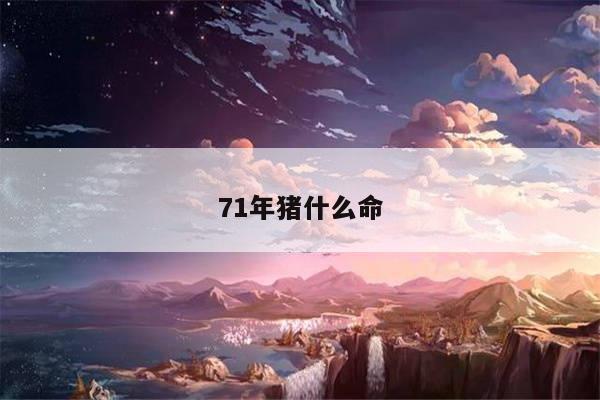 71年猪什么命