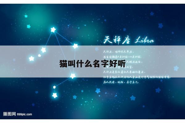猫叫什么名字好听