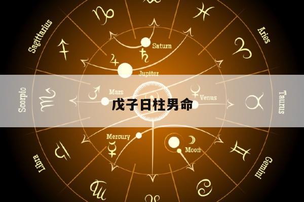 戊子日柱男命