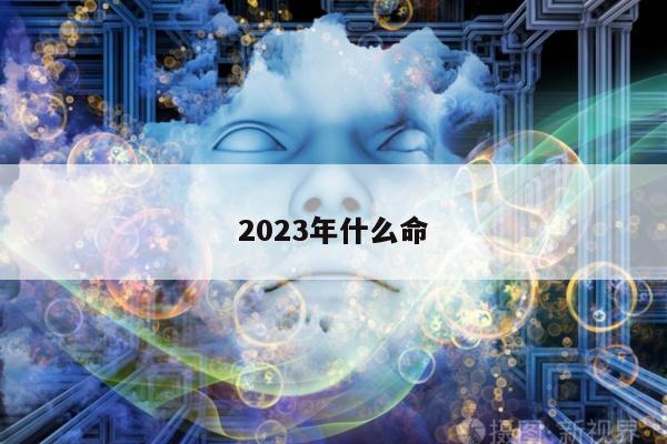 2023年什么命