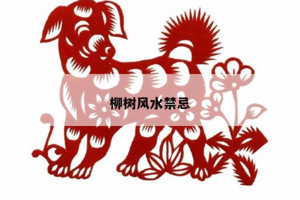 柳树风水禁忌