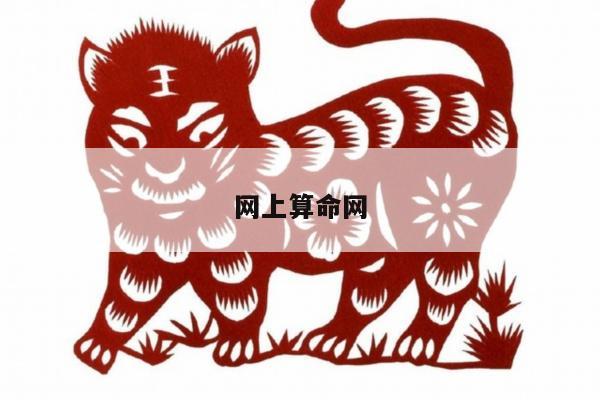 网上算命网