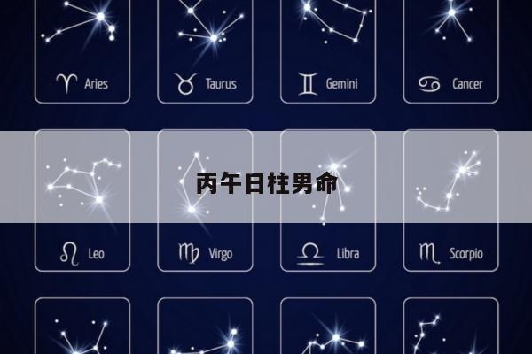 丙午日柱男命