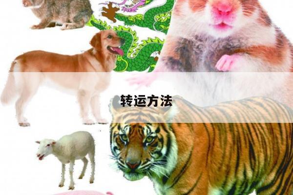 新闻中心 第12页