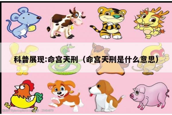 科普展现:命宫天刑（命宫天刑是什么意思）