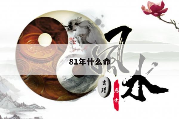 81年什么命