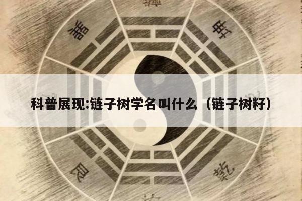 科普展现:链子树学名叫什么（链子树籽）