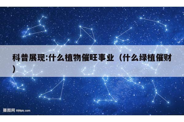 科普展现:什么植物催旺事业（什么绿植催财）