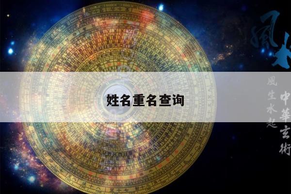 姓名重名查询