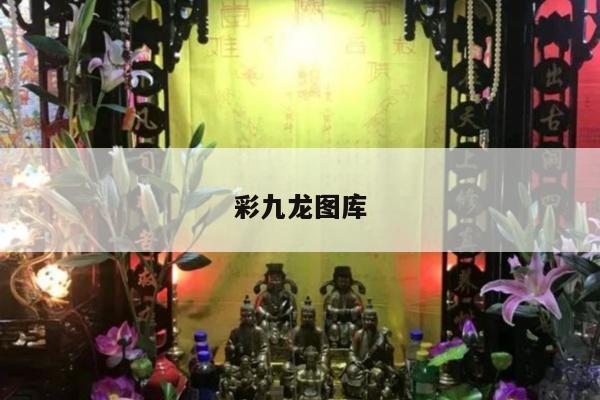彩九龙图库