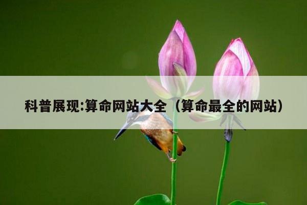 科普展现:算命网站大全（算命最全的网站）