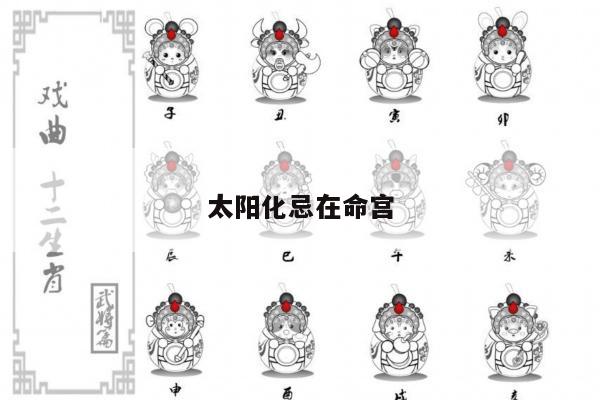 太阳化忌在命宫