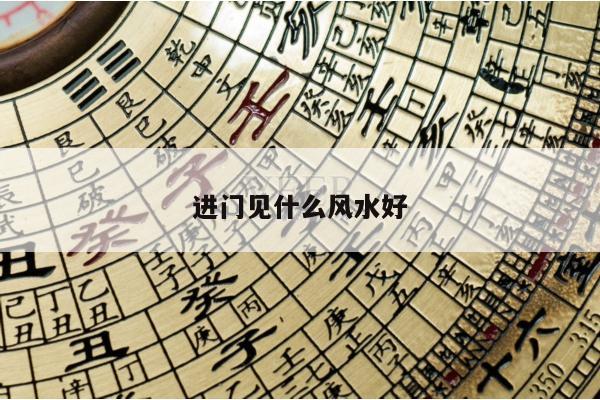 进门见什么风水好