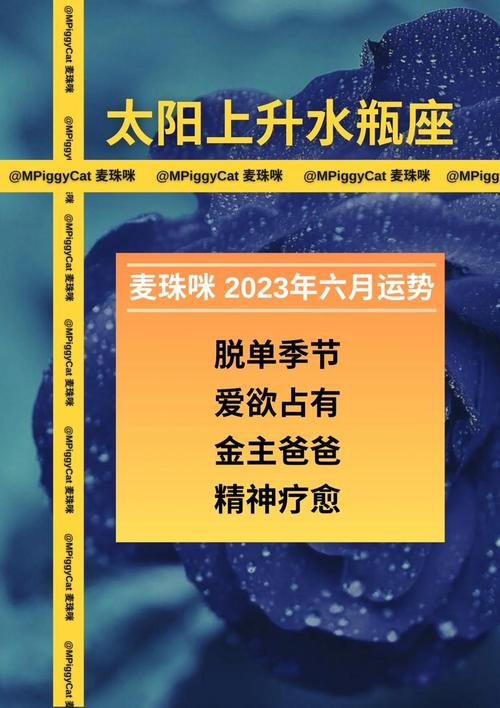 最准的水瓶座今日运势,水瓶座今日运势详细