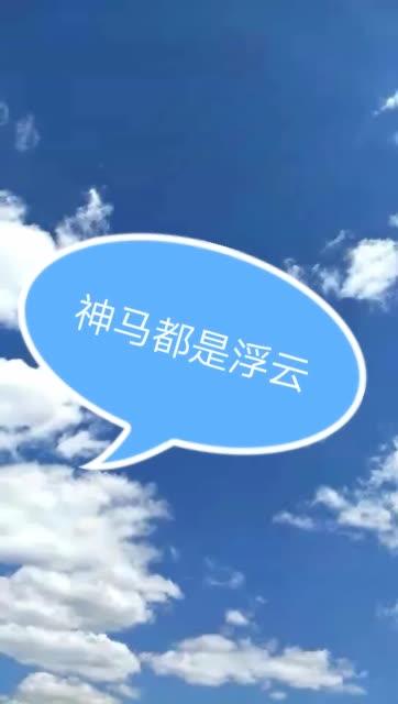 神马都是浮云,神马都是浮云这句话什么意思