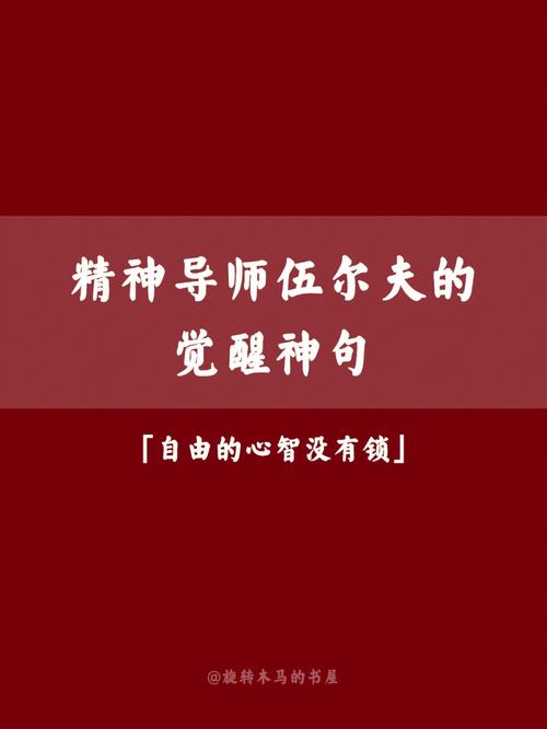 精神导师英文怎么说,精神导师英文怎么说呢