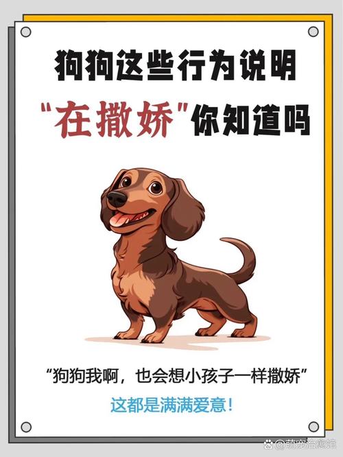 偷狗的完美方法,偷狗的完美方法在线观看全集