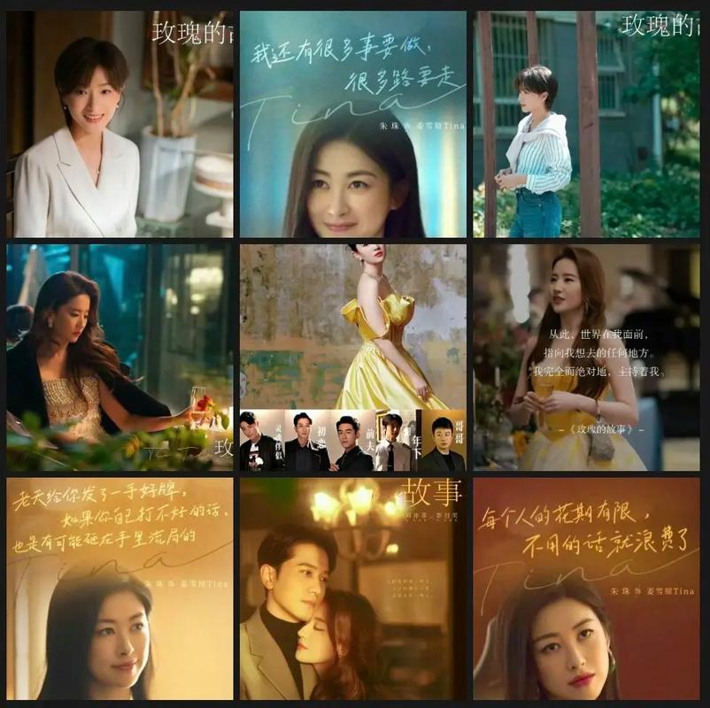 第40集高清免费观看,第40集高清免费观看玫瑰