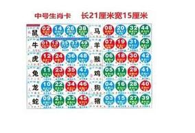 香港指的是哪个生肖,香港指的是哪个生肖的动物