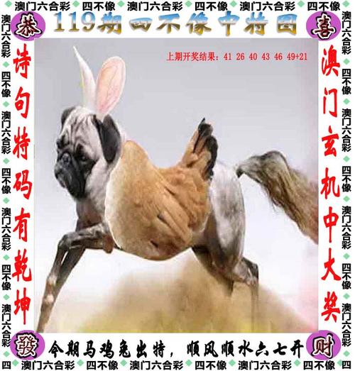 香港王中王六仺彩资料,