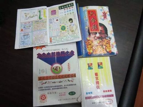 会员料9点25公开,会员料9点20分公开验证区